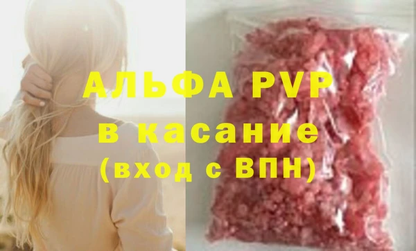 спиды Семёнов