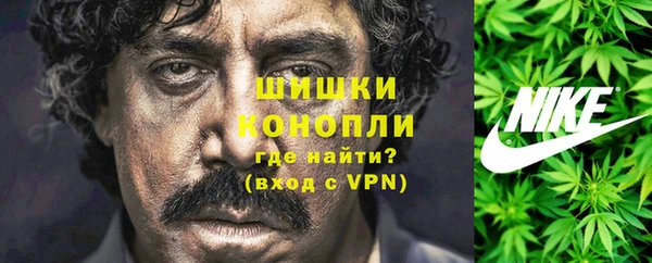 амф Бронницы