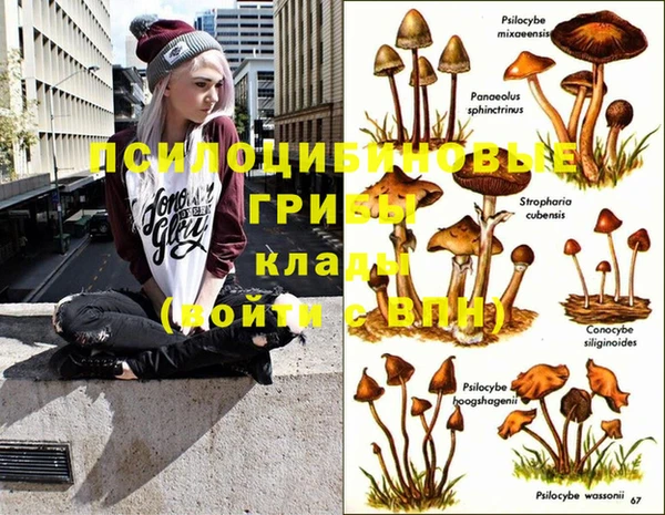 амф Бронницы