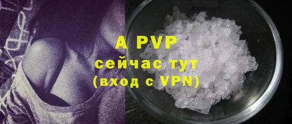 гашик Слюдянка